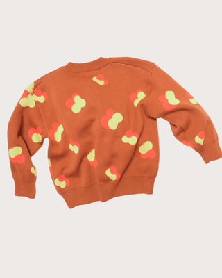 Finneas Jacquard Knit Cardigan