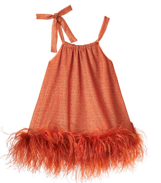 Lumière Plumage dress