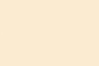 a background with this color nothing else #F5F1ED