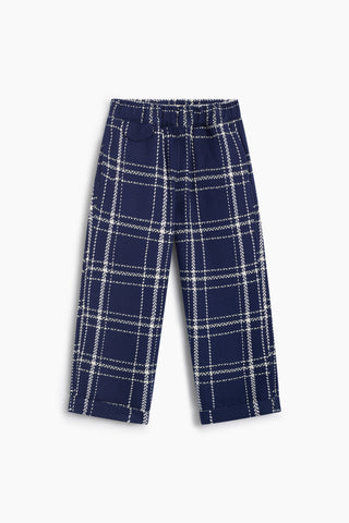 The New Society Boone Trouser navy plaid, front