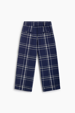 The New Society Boone Trouser navy plaid, back