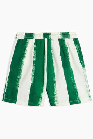 Anselmo Blaze Shorts