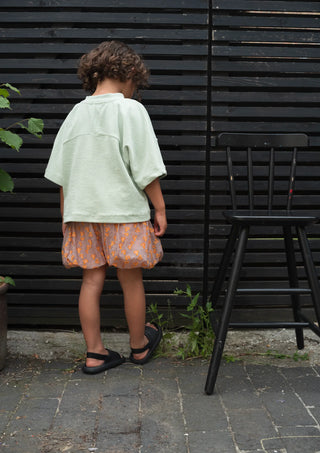Pip Bubble Shorts Sheer Dot